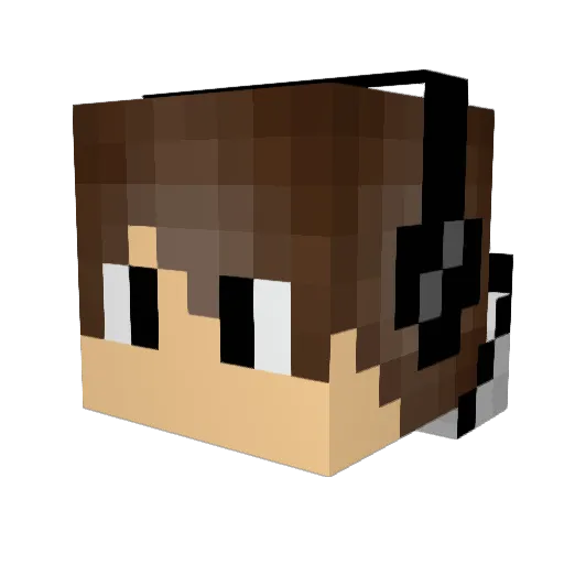2007Karl Minecraft avatar head, 3D render