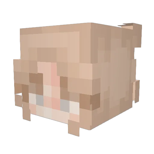 2009Julie Minecraft avatar head, 3D render