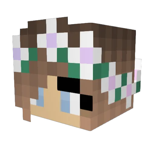 200IQQ Minecraft avatar head, 3D render