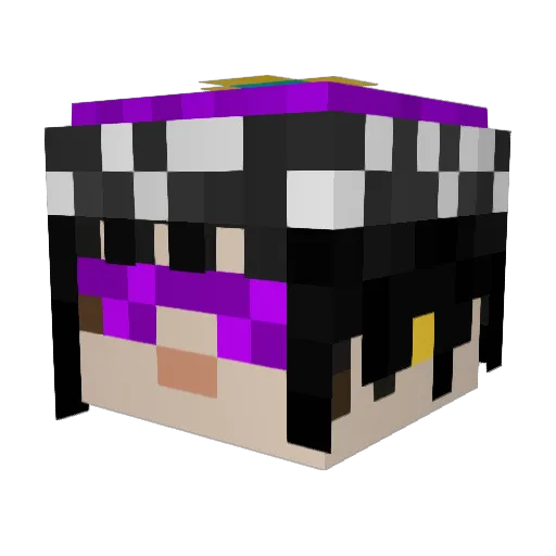 200Minecraft Minecraft avatar head, 3D render