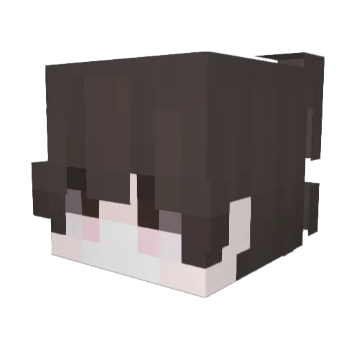 200msGAMER Minecraft avatar head, 3D render