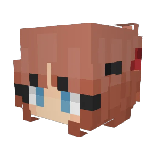200mydash Minecraft avatar head, 3D render