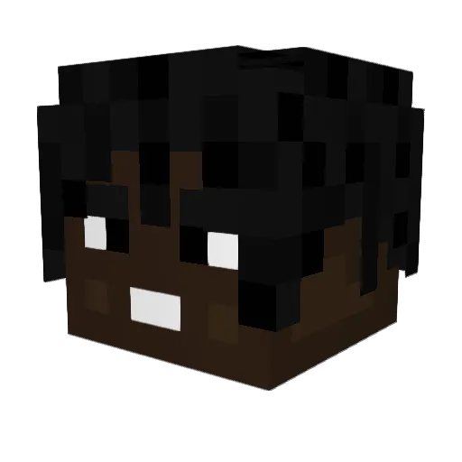 2010LILB Minecraft avatar head, 3D render