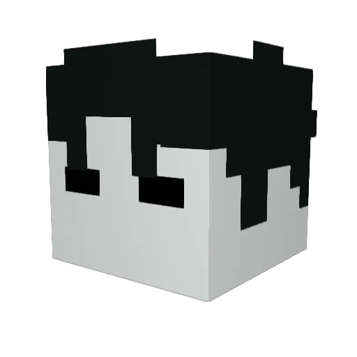 2010moomoocow Minecraft avatar head, 3D render