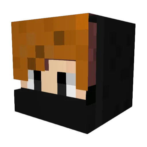 2011YourGaming Minecraft avatar head, 3D render