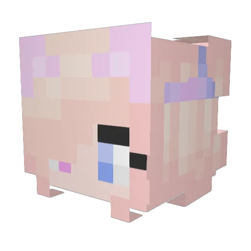 2011zosia Minecraft avatar head, 3D render