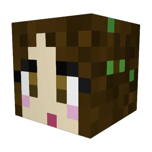 2014fordfocus Minecraft avatar head, 3D render