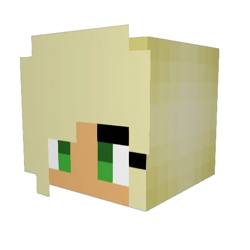 2022_WC_Winner Minecraft avatar head, 3D render