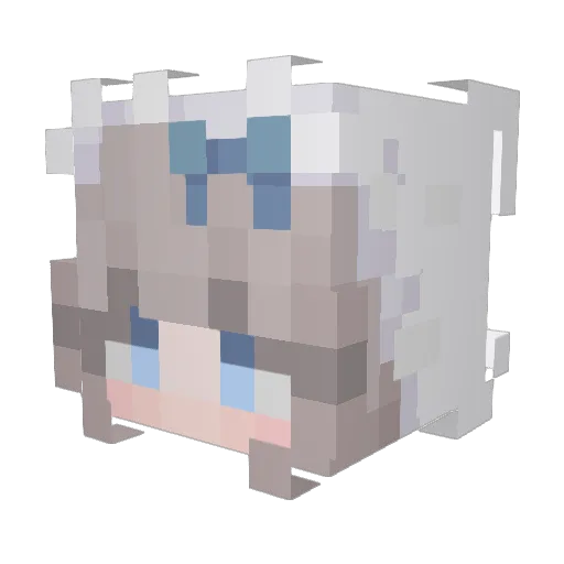 202Suki202 Minecraft avatar head, 3D render