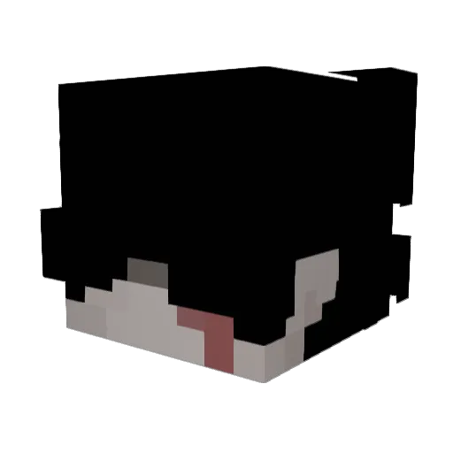 202s_ Minecraft avatar head, 3D render