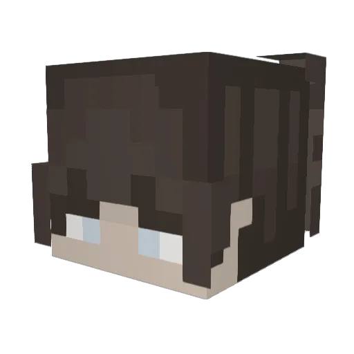 2060P Minecraft avatar head, 3D render