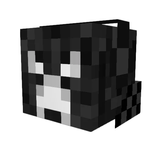 207Frankie Minecraft avatar head, 3D render