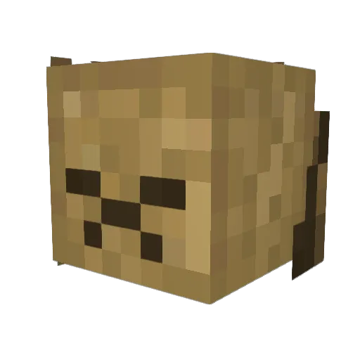 2087maik Minecraft avatar head, 3D render