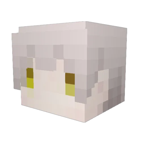 2089gh Minecraft avatar head, 3D render