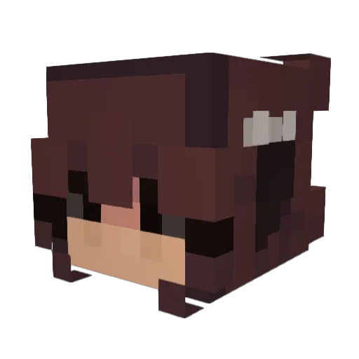 20Pancakes11 Minecraft avatar head, 3D render