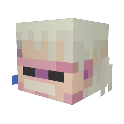 20Tessie02 Minecraft avatar head, 3D render