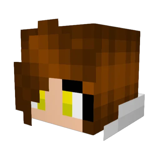 20ninetails Minecraft avatar head, 3D render