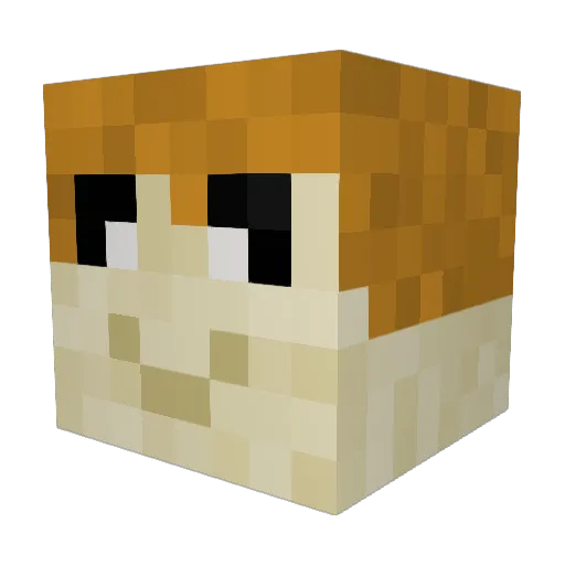 20quinten08 Minecraft avatar head, 3D render