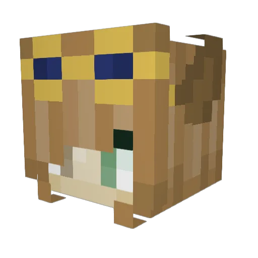 20timecat2 Minecraft avatar head, 3D render