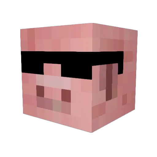 210Ignaz Minecraft avatar head, 3D render