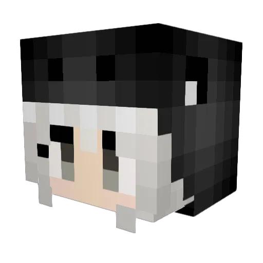 212hass Minecraft avatar head, 3D render