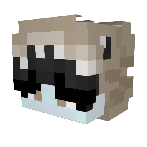 21372137prosek Minecraft avatar head, 3D render