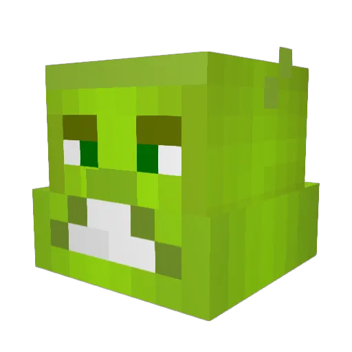 2137_Fifi Minecraft avatar head, 3D render
