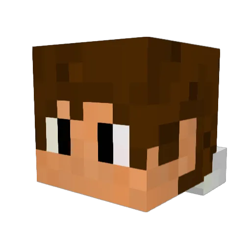 21425 Minecraft avatar head, 3D render
