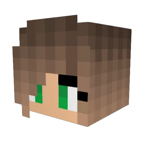 2167175264 Minecraft avatar head, 3D render