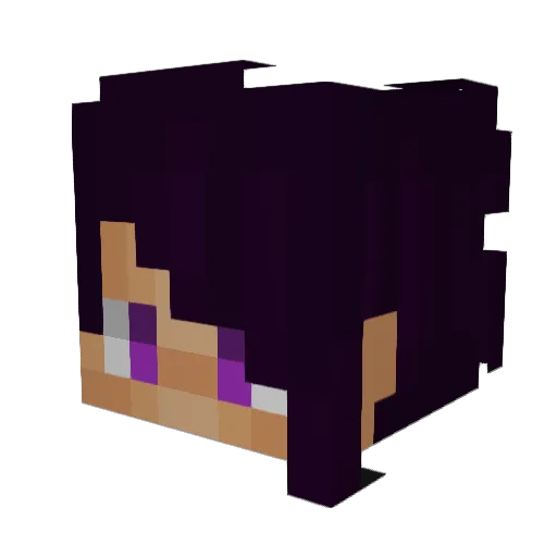 2170arltivlsoi Minecraft avatar head, 3D render
