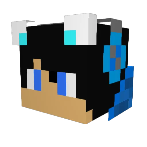217Dragonmaster Minecraft avatar head, 3D render