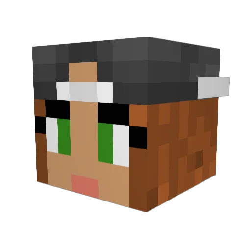 217oliva Minecraft avatar head, 3D render