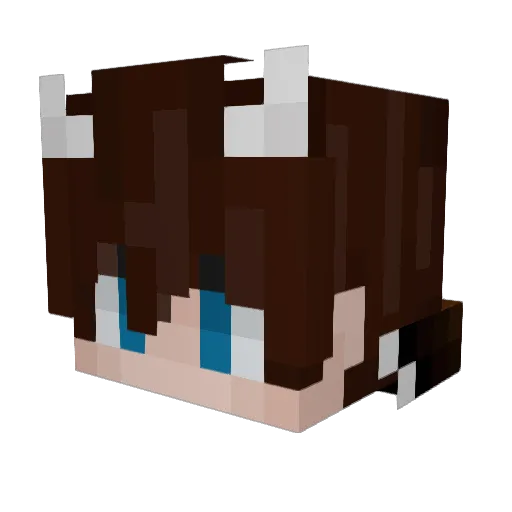 21J3G Minecraft avatar head, 3D render