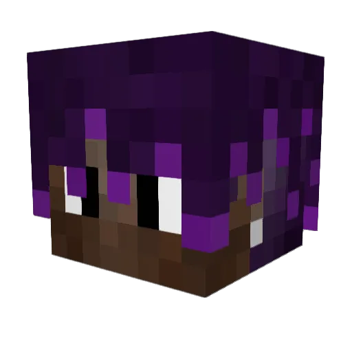 21Ninja Minecraft avatar head, 3D render
