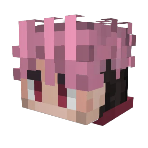 21SAVAGEDOGE Minecraft avatar head, 3D render