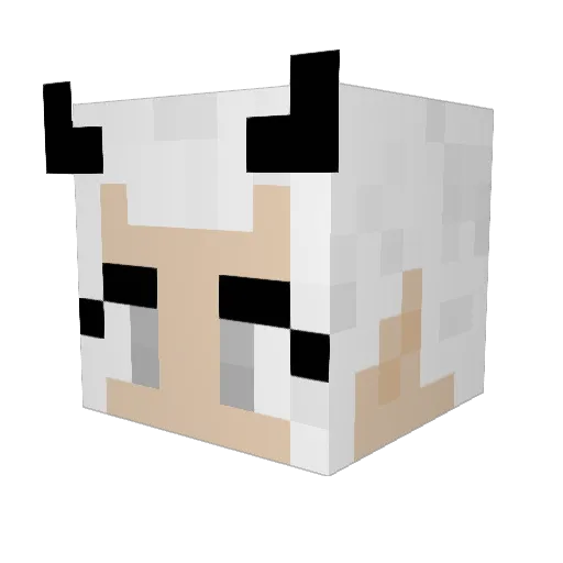 21Sean20 Minecraft avatar head, 3D render