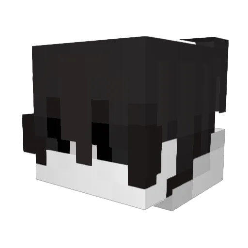 21Simon31 Minecraft avatar head, 3D render