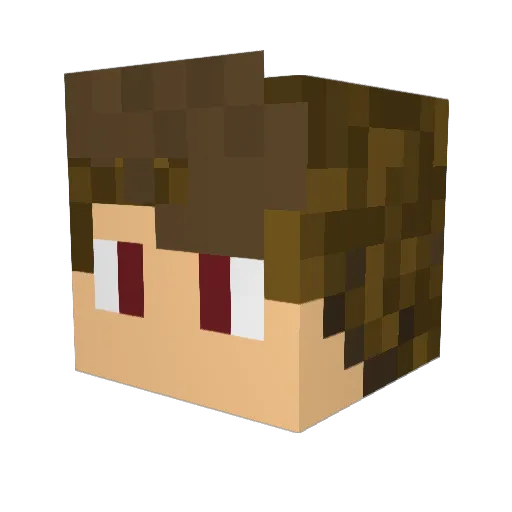 21Texans12 Minecraft avatar head, 3D render