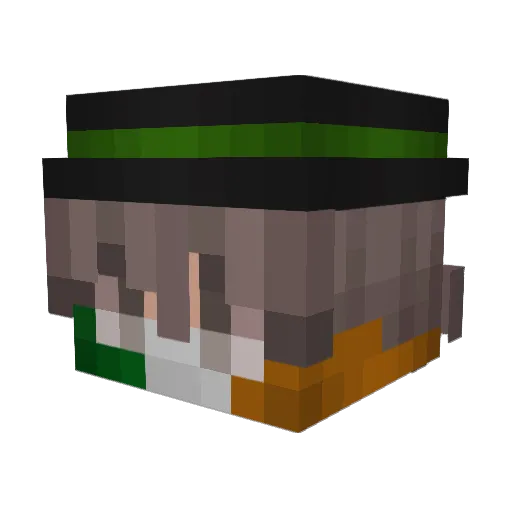 21nqss_ Minecraft avatar head, 3D render