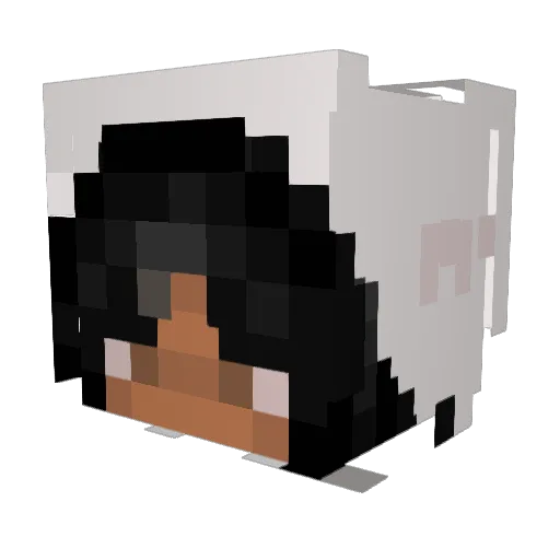 21zq Minecraft avatar head, 3D render