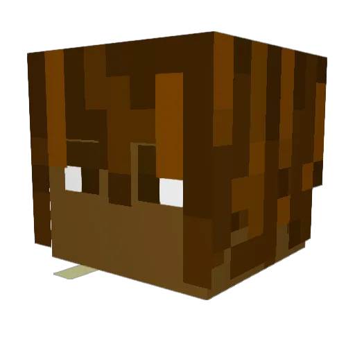 2202_ty Minecraft avatar head, 3D render