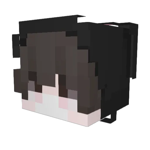 2222222222222222 Minecraft avatar head, 3D render