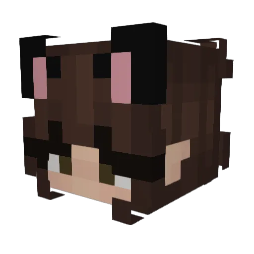 222vaeh Minecraft avatar head, 3D render