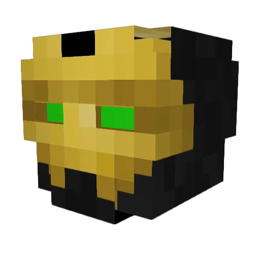 223_Remington Minecraft avatar head, 3D render