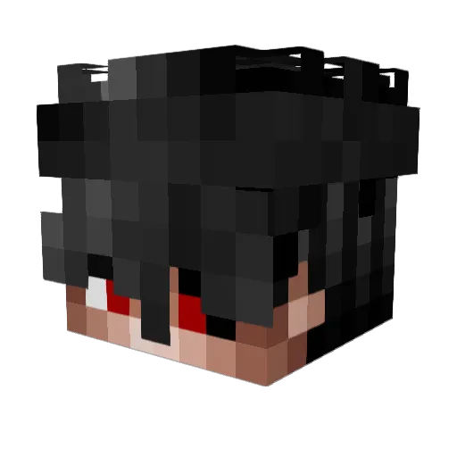 224ms Minecraft avatar head, 3D render