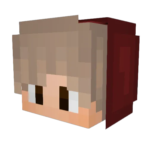 227doctor Minecraft avatar head, 3D render