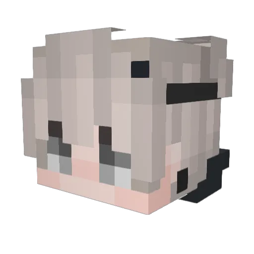 228y Minecraft avatar head, 3D render