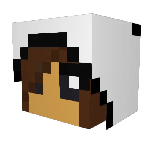 22Ash26 Minecraft avatar head, 3D render