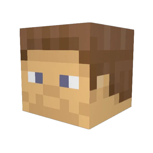 22Jake Minecraft avatar head, 3D render