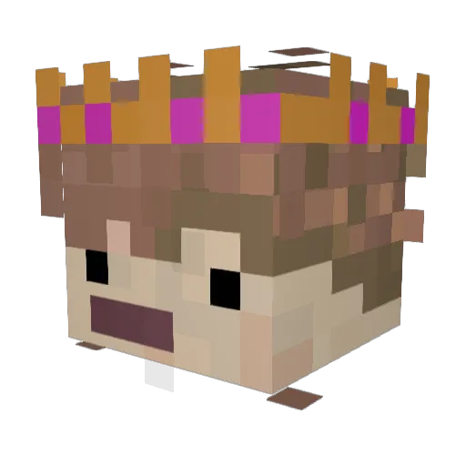 234kerem234 Minecraft avatar head, 3D render